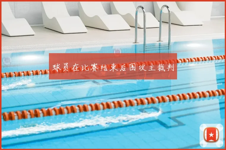 球员在比赛结束后围攻主裁判