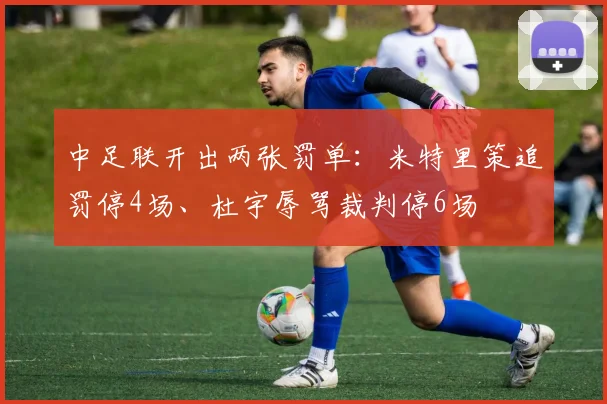 中足联开出两张罚单：米特里策追罚停4场、杜宇辱骂裁判停6场
